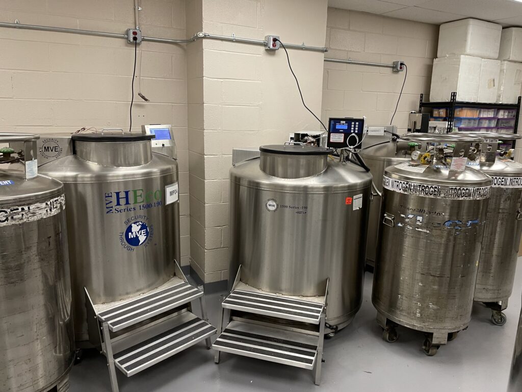 Tissue Bank